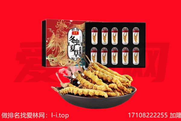 双鸭山市回收虫草.jpg